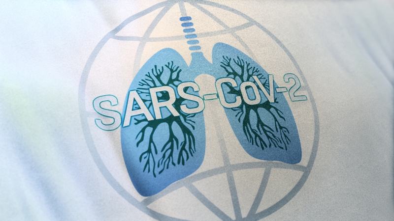 Perspectives on SARS-CoV-2